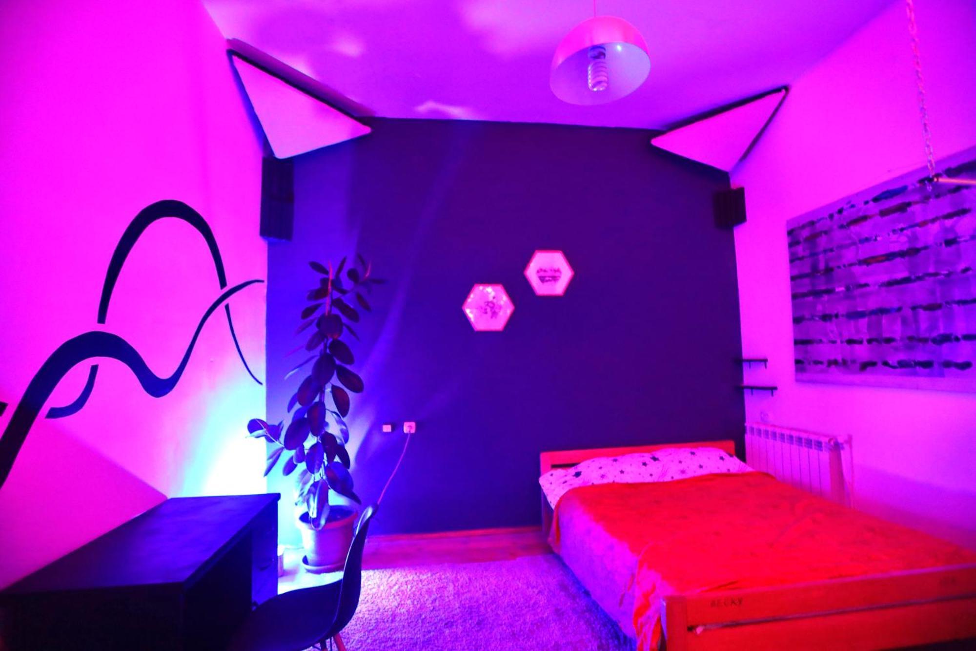 Cosy Studio With Beautiful Garden يريفان المظهر الخارجي الصورة